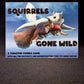 Squirrels Gone Wild by Spencer Beebe